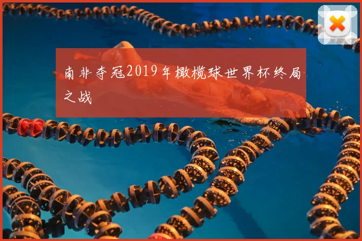 南非夺冠2019年橄榄球世界杯终局之战