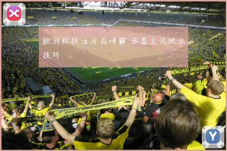欧洲杯投注方式详解 涵盖主流玩法技巧