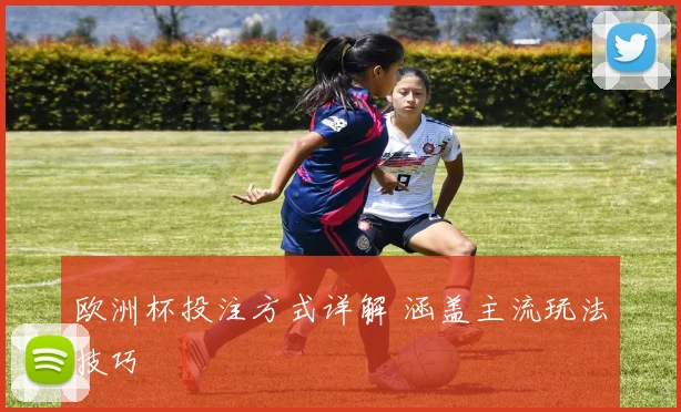 欧洲杯投注方式详解 涵盖主流玩法技巧